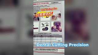 AUTOFOR 글로벌 얼라이언스 딜러